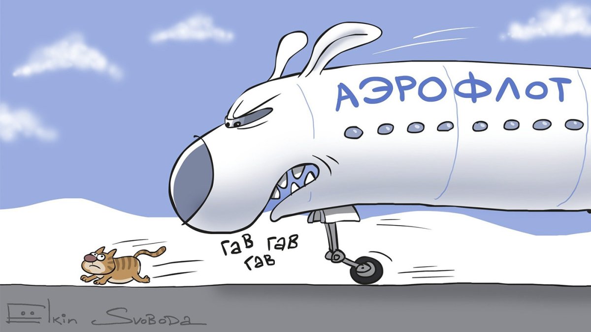 Клэр Кастл стюардесса