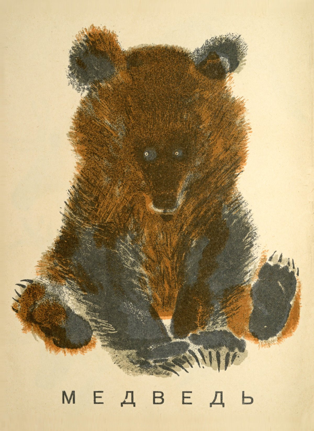 Чарушин медвежата книга