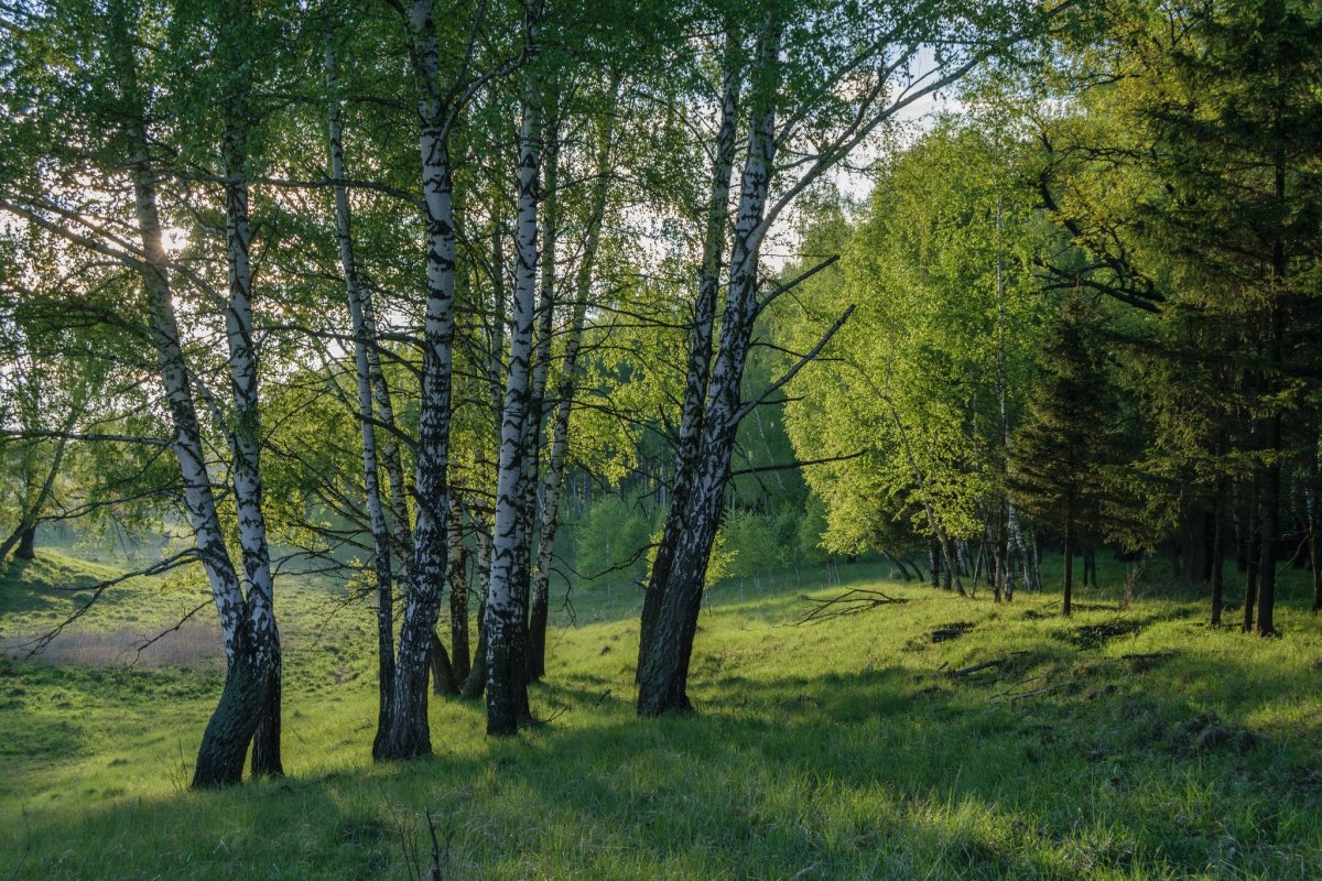 Природа России