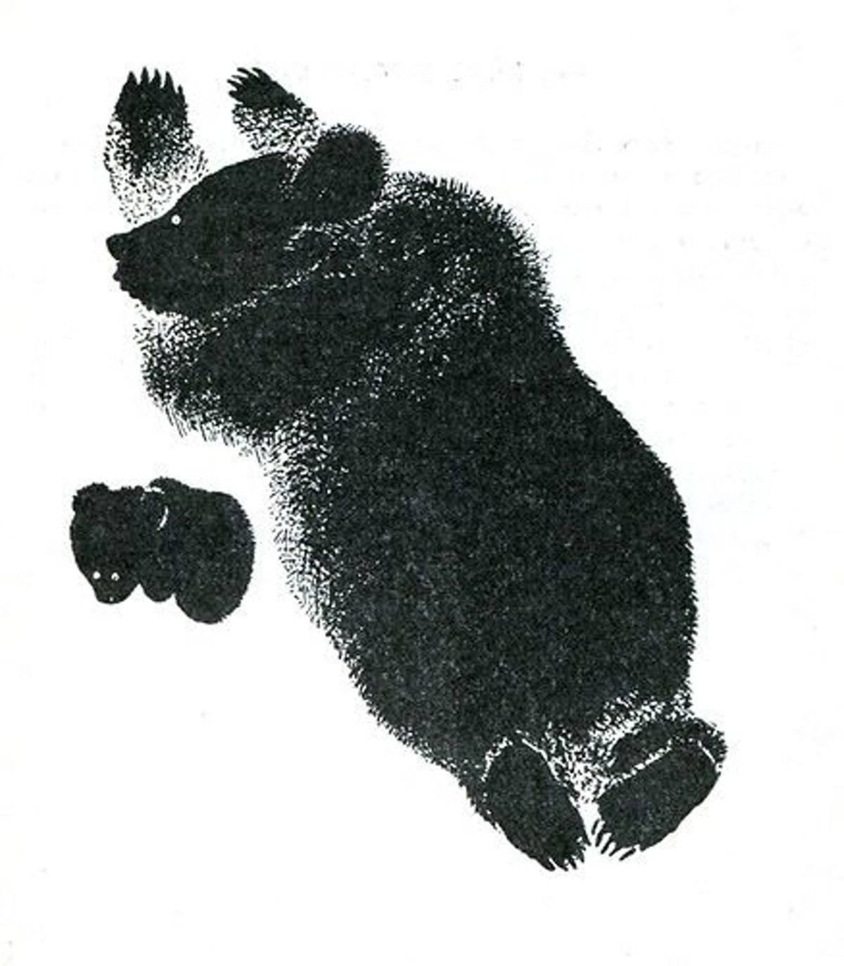 Произведение е Чарушина медведь текст