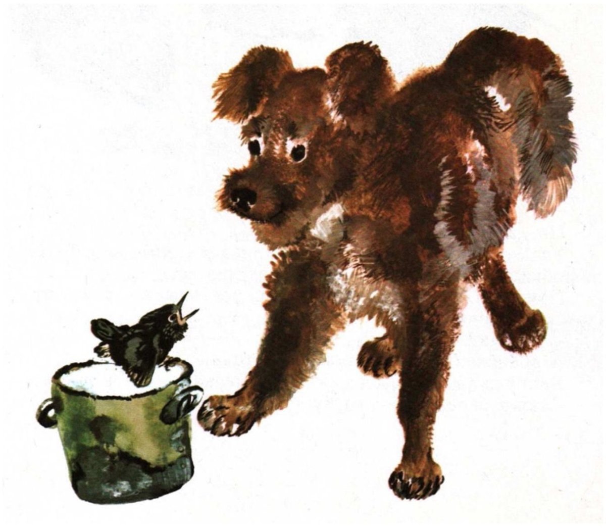 Чарушин бурый медведь