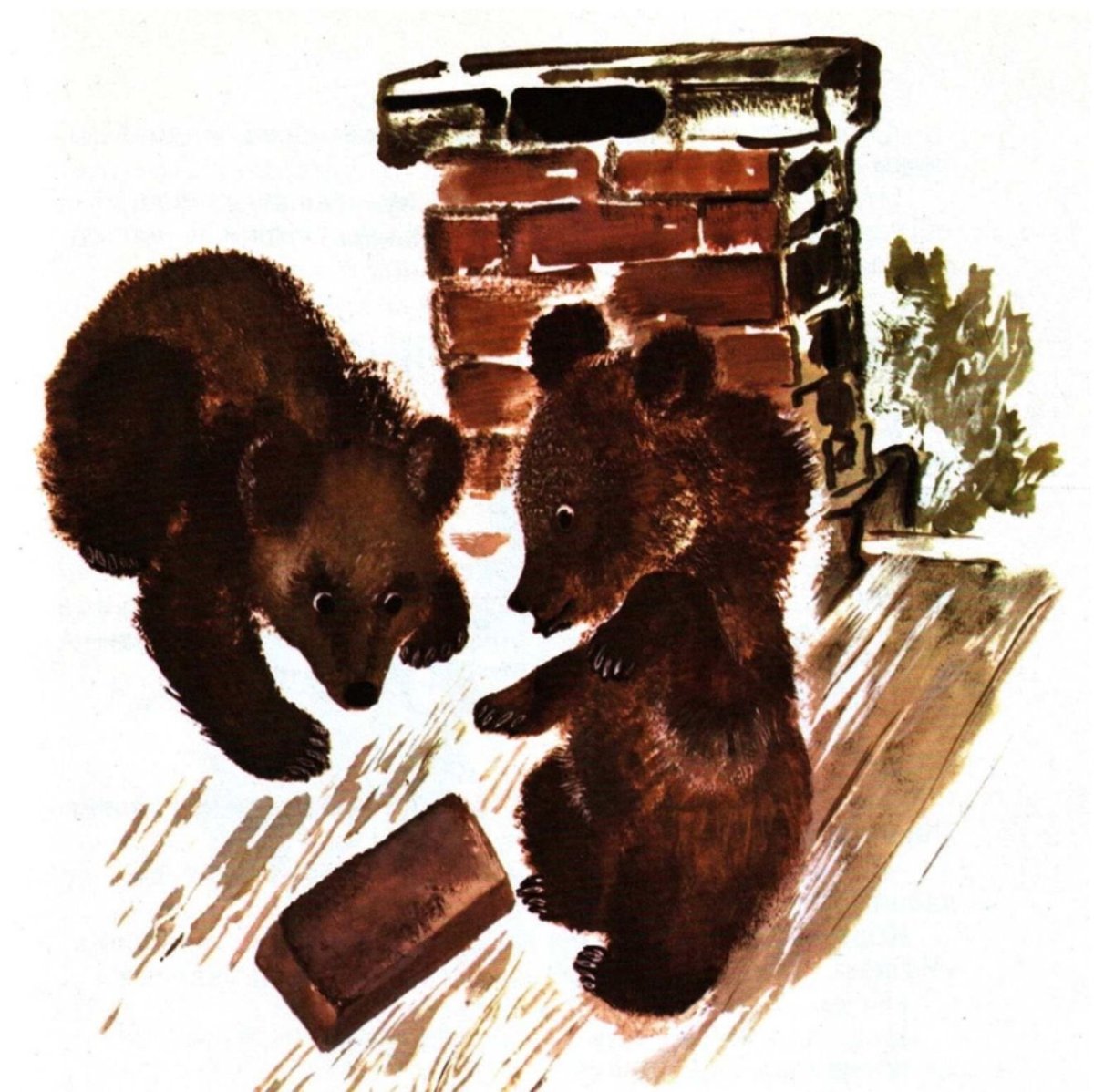 Чарушин медвежата