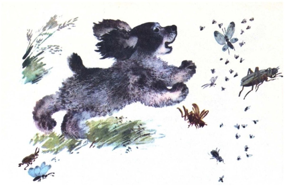 Чарушин Волчишко