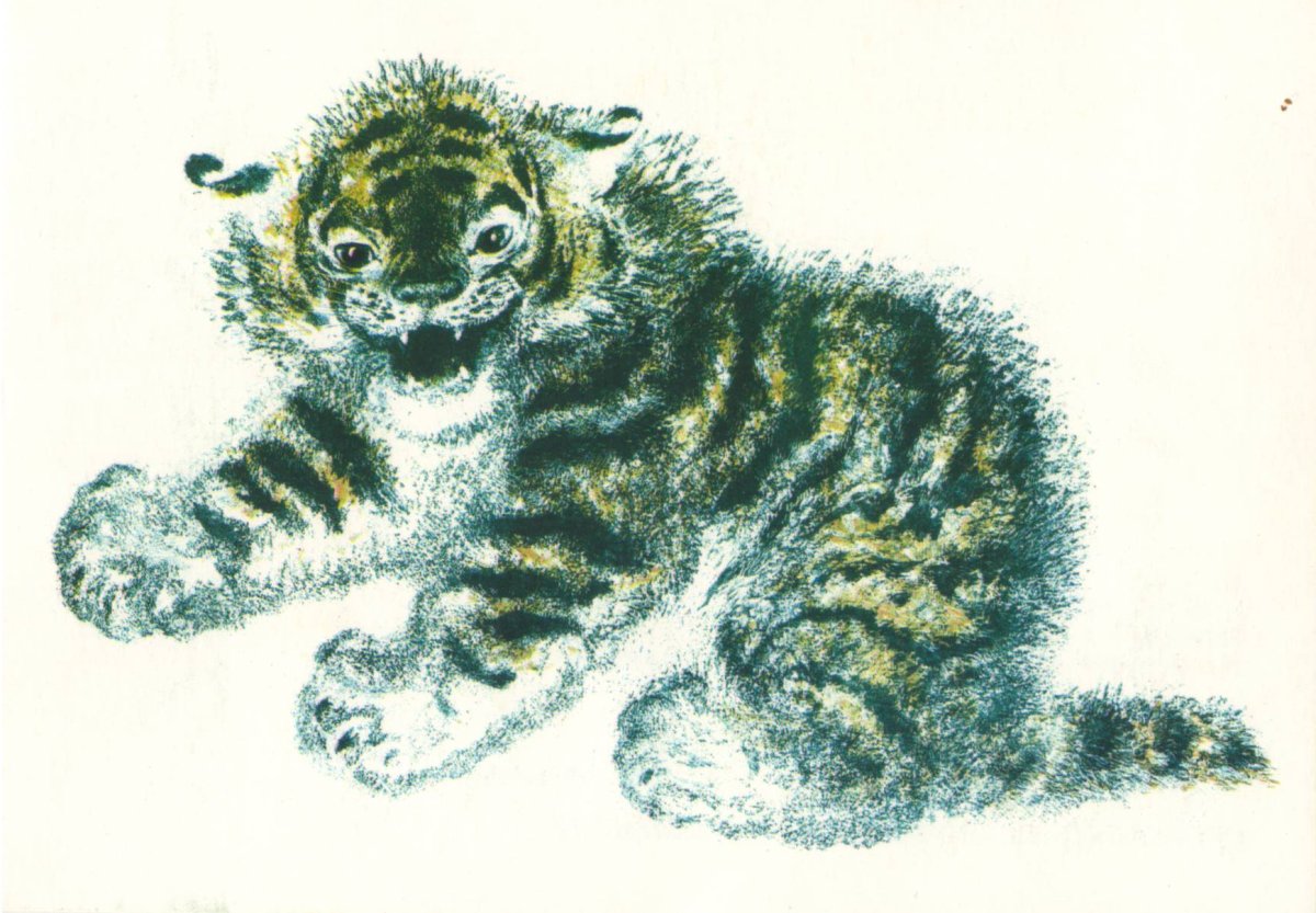 Евгений Чарушин болтливая сорока