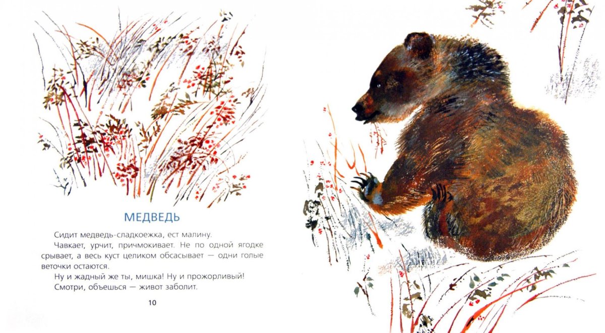 Книга с мишкой на обложке