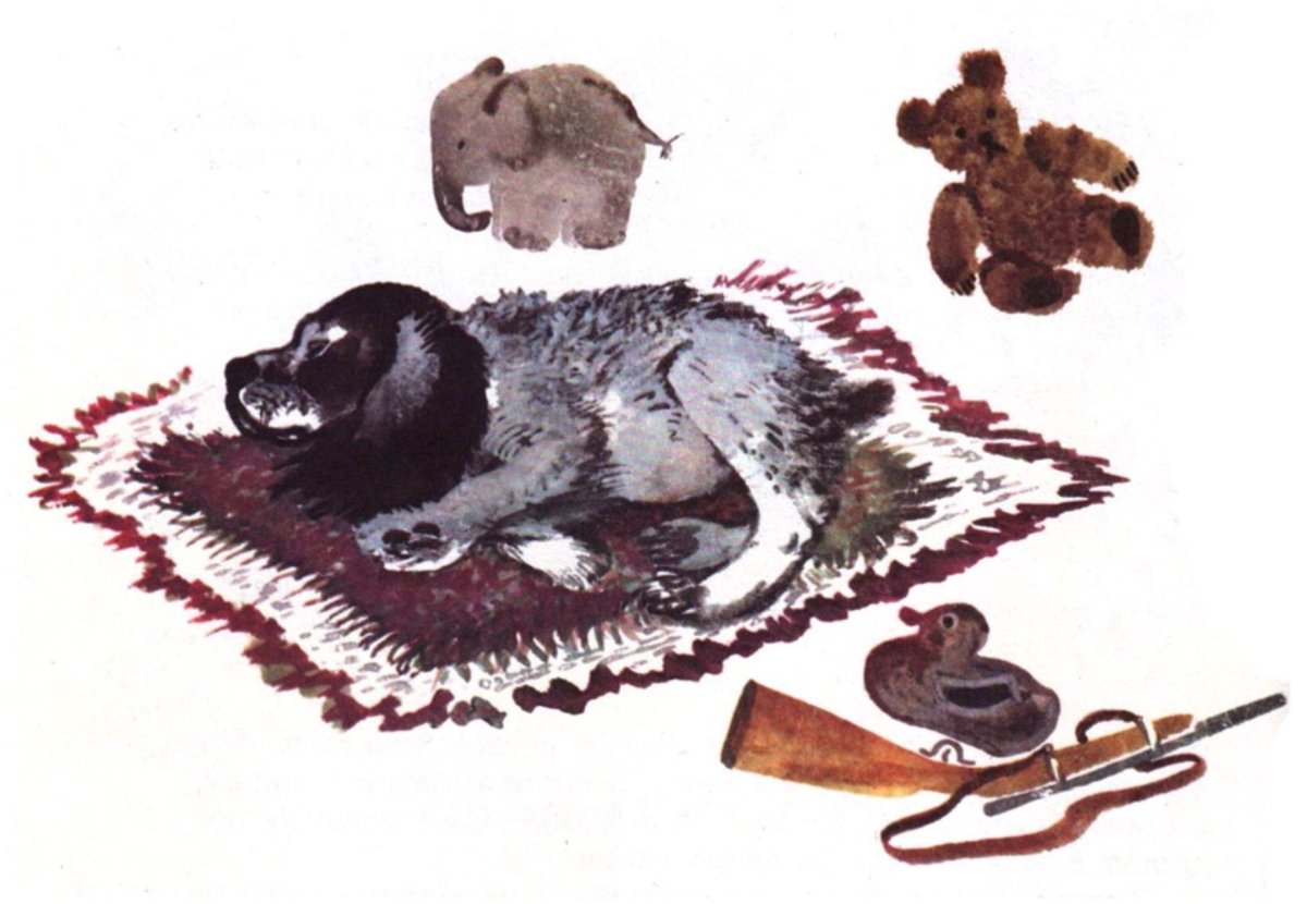 Евгений Чарушин книги иллюстрации медведь