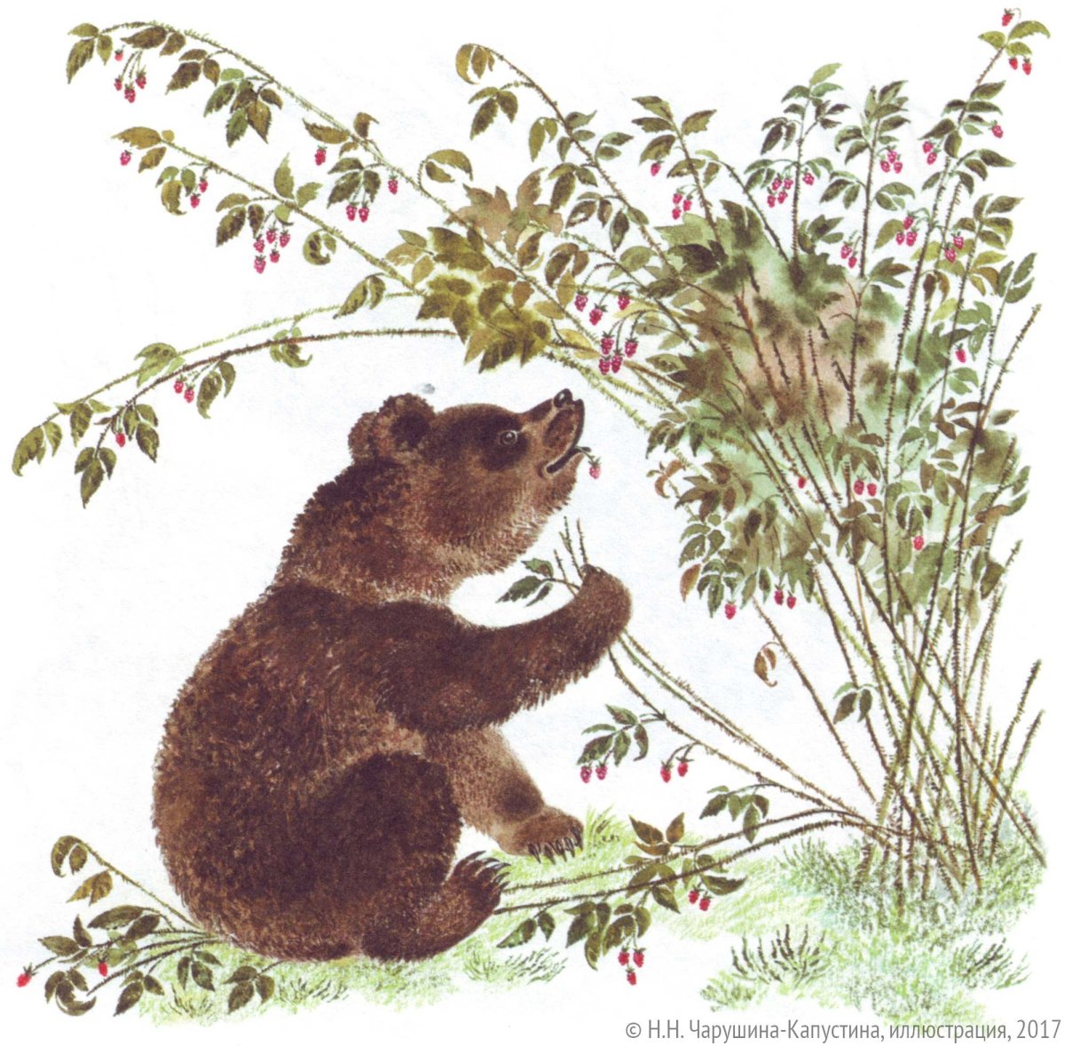 Е. Чарушина «друзья».