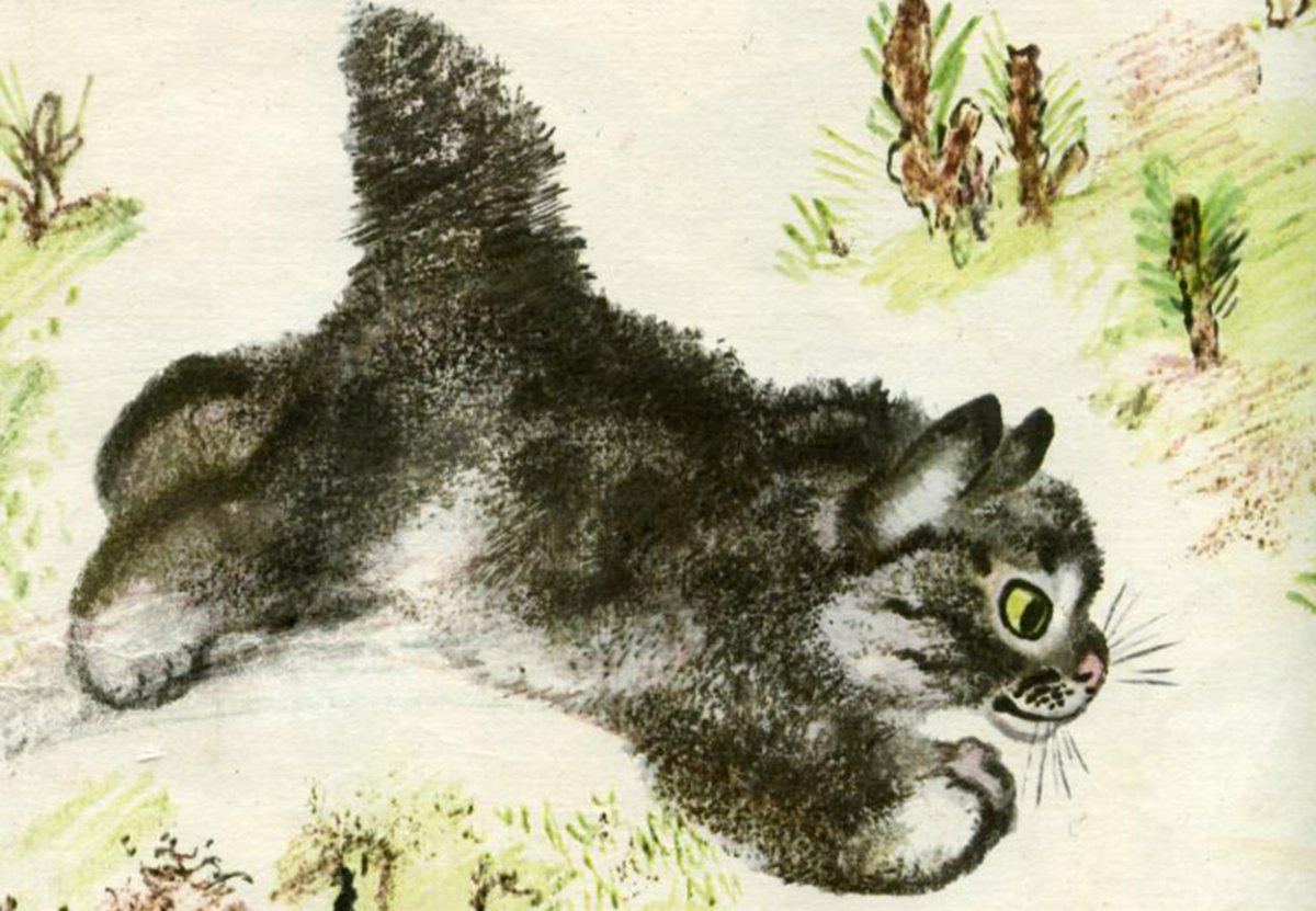 Чарушин Евгений Иванович Волчишко