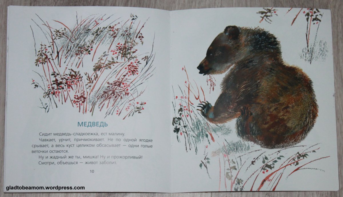 Евгений Чарушин "Томкины сны"