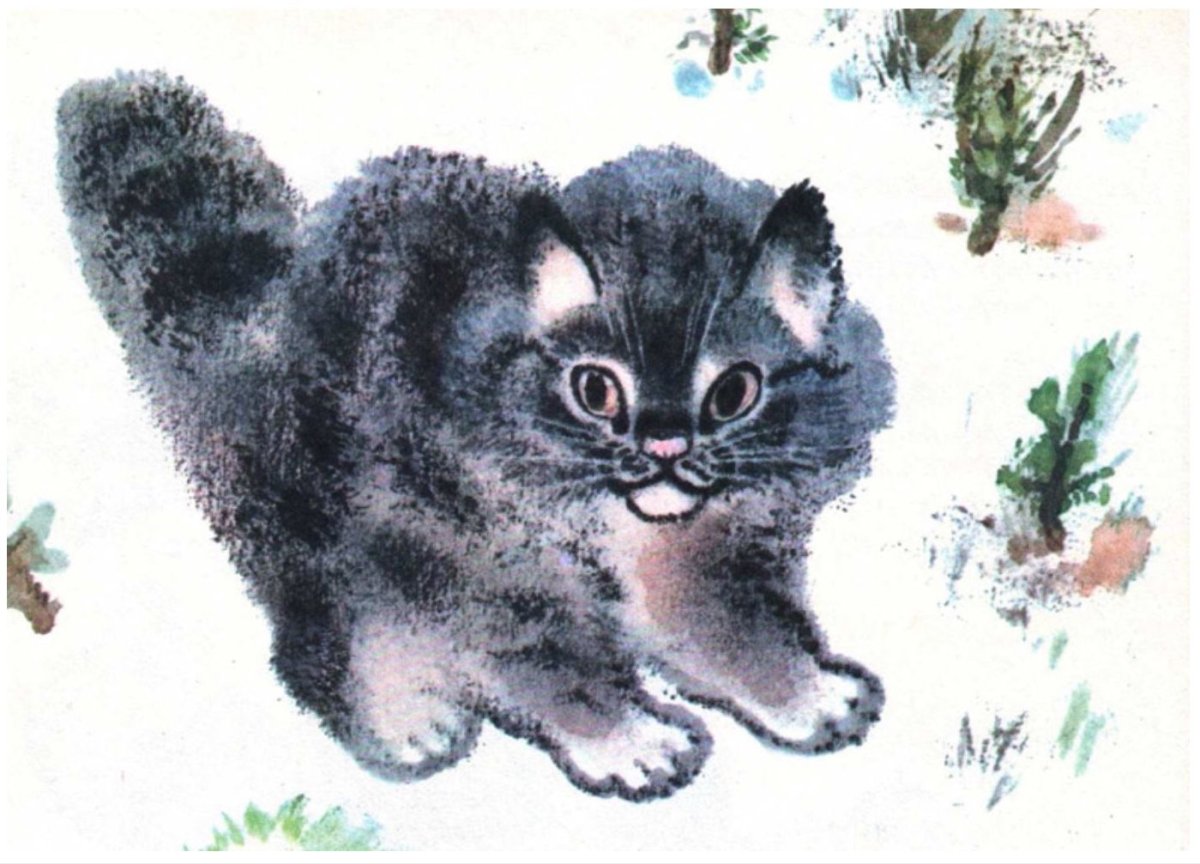 Чарушин Евгений Иванович иллюстрации