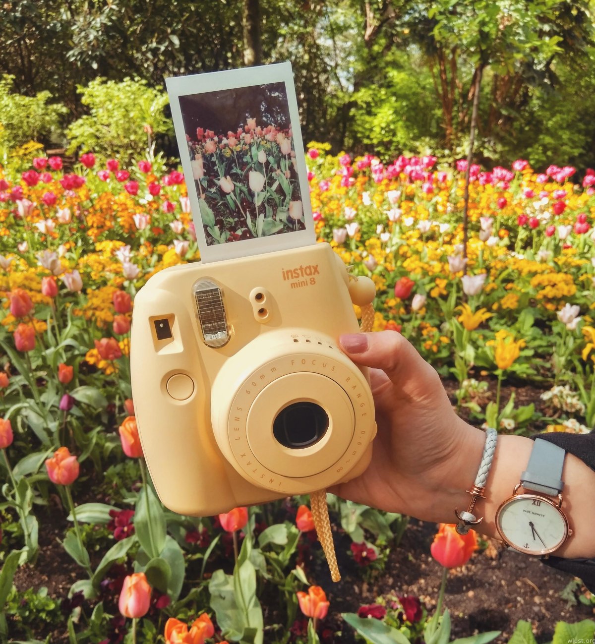 Полароид Instax