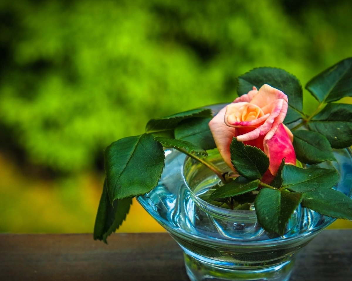 Доброе утро хорошему человеку