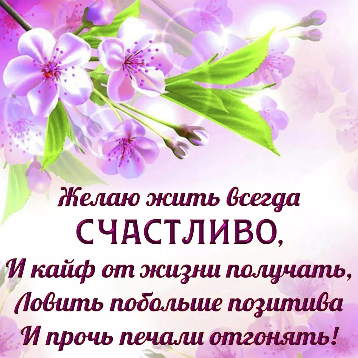 Поздравления на все случаи