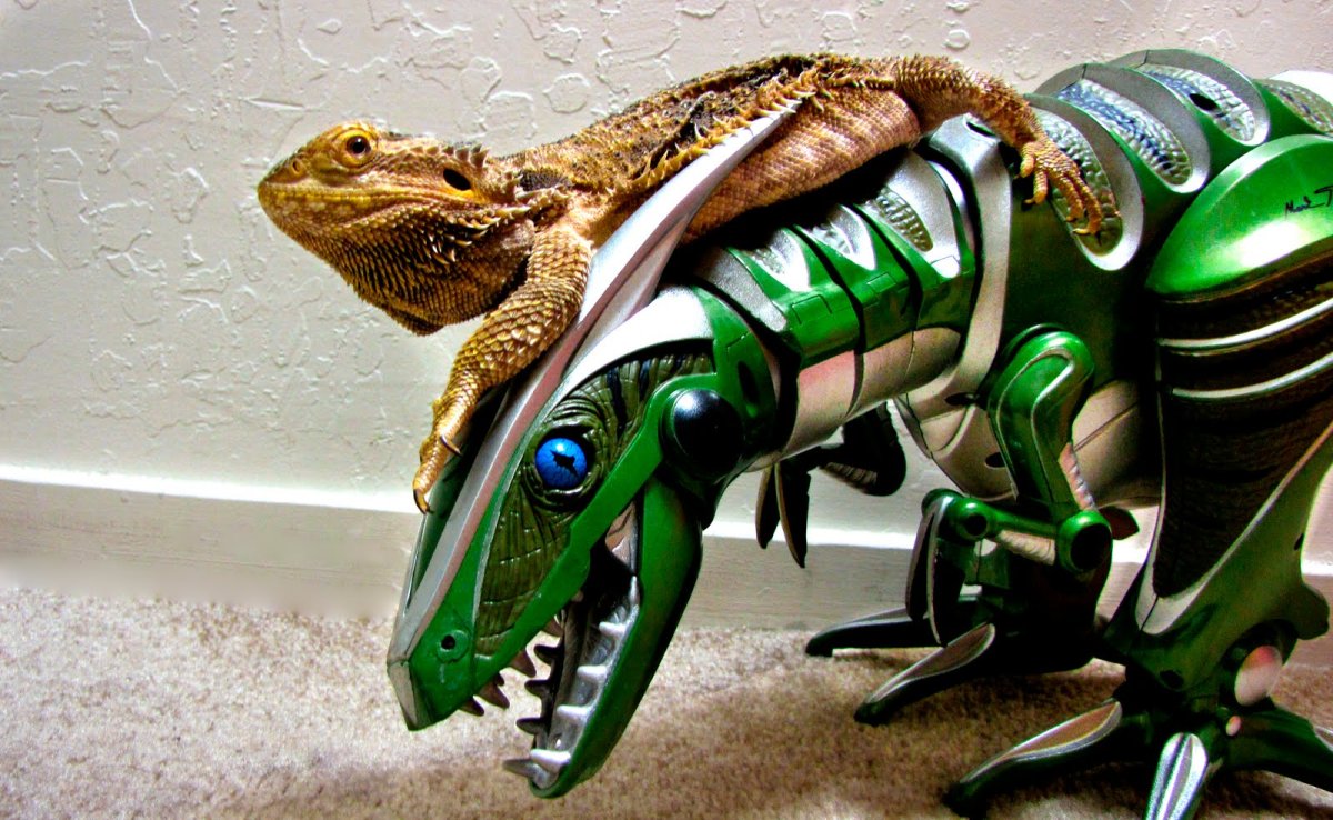 Робот динозавр арт