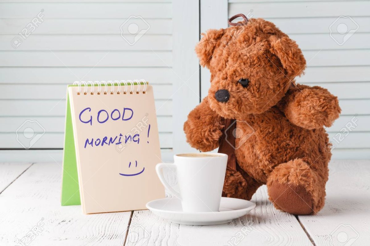 Доброе Майское утро с медведями