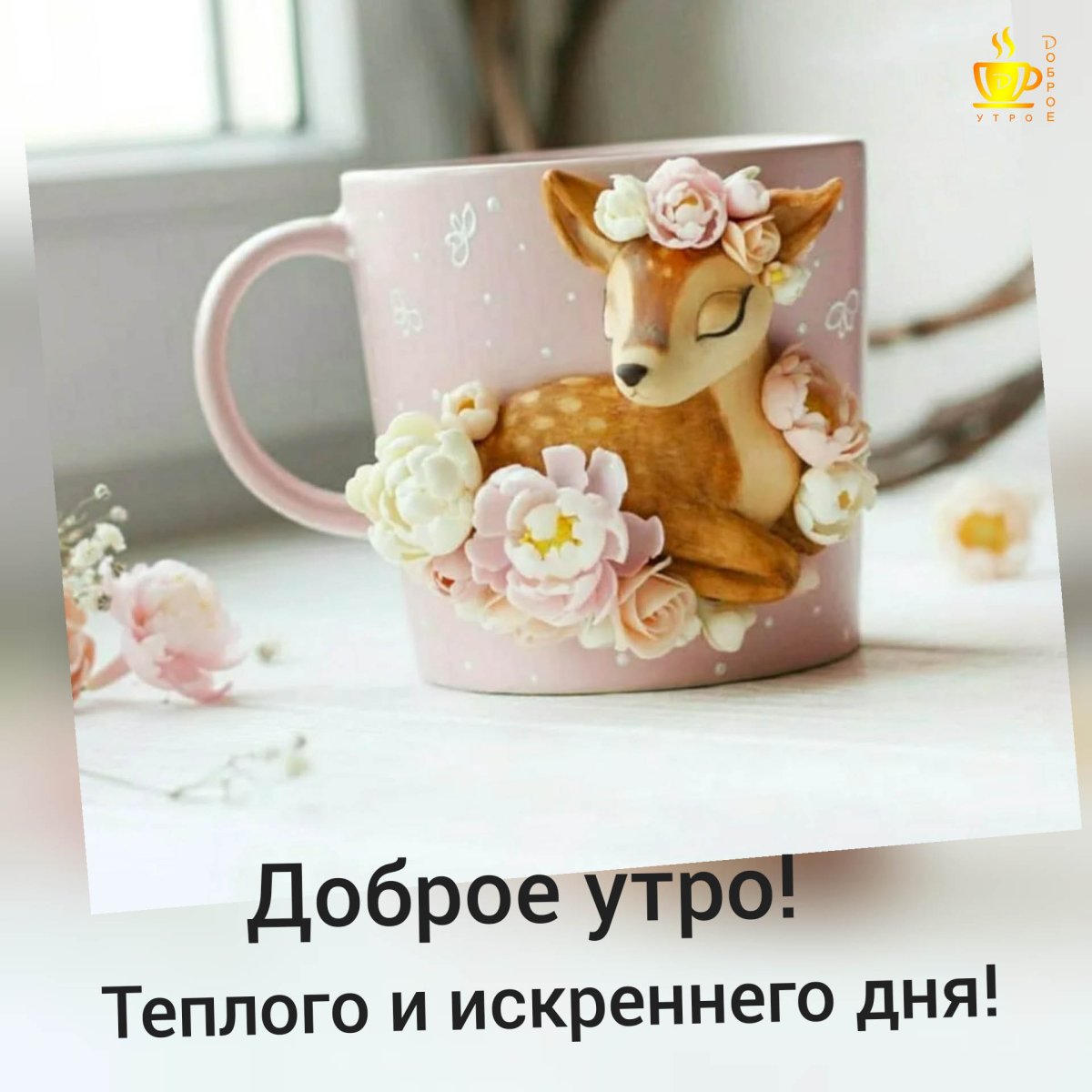 Добрые новости с добрыми новостями с добрым утром