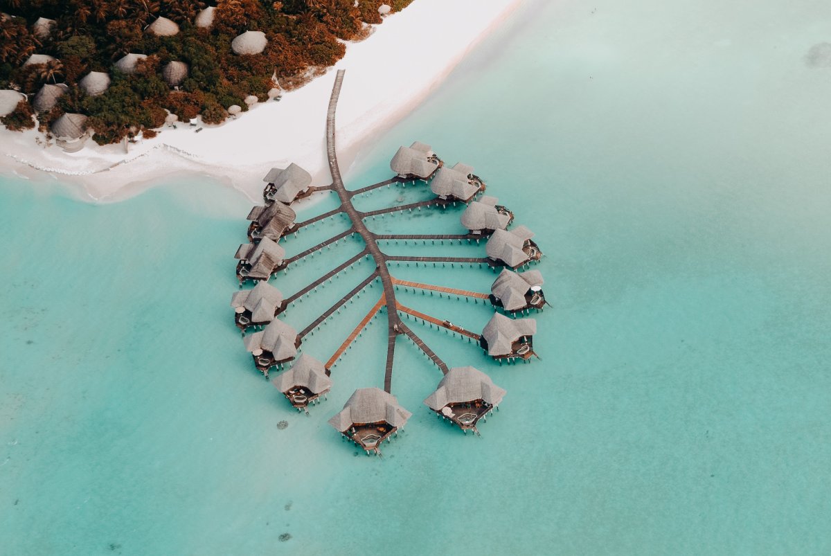 Остров Coco Palm