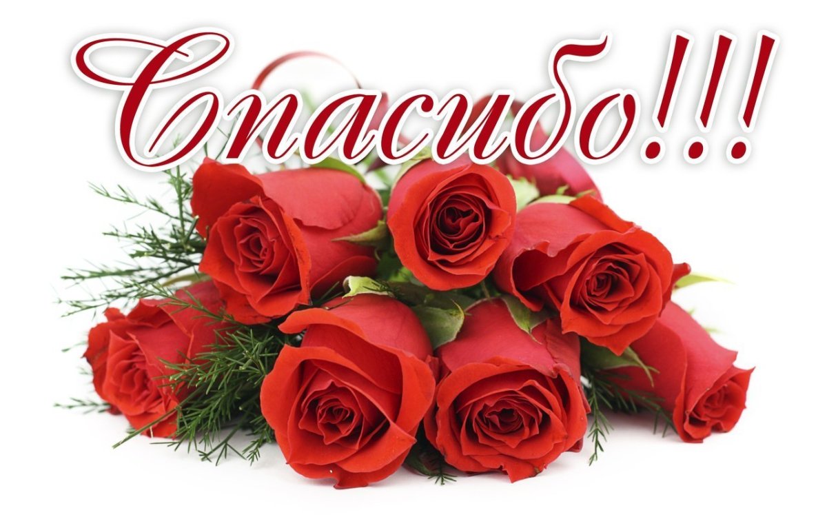 Спасибо цветы