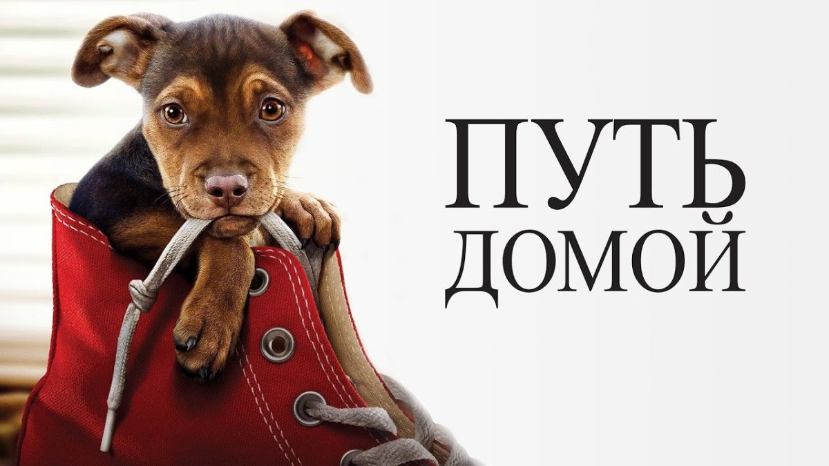 Путь домой фильм 2019