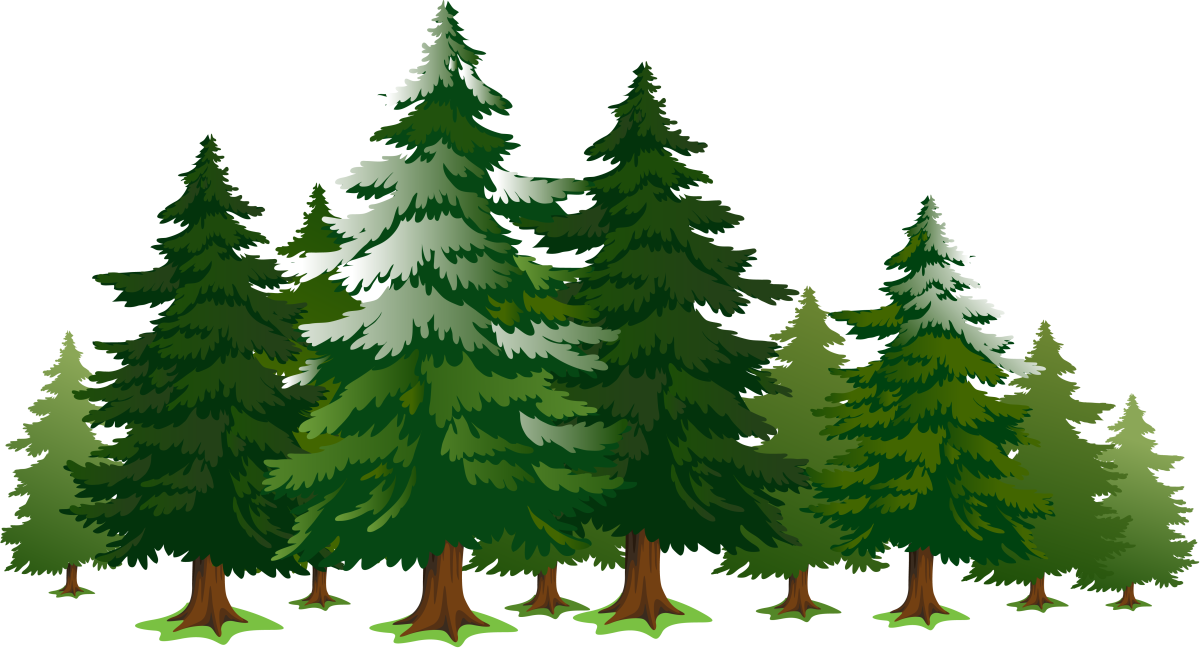 Большие и маленькие ели