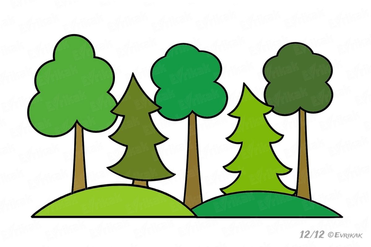Лес для детей схематически