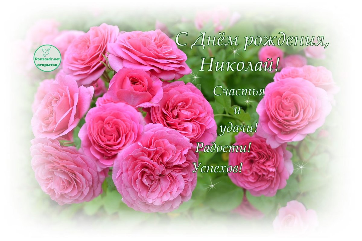С днём рождения Николай открытки
