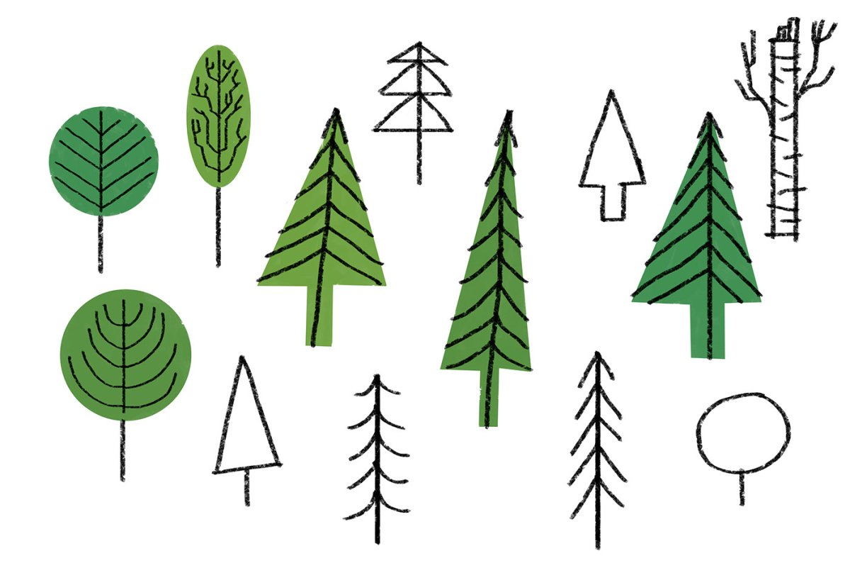 Смешанный лес рисунок