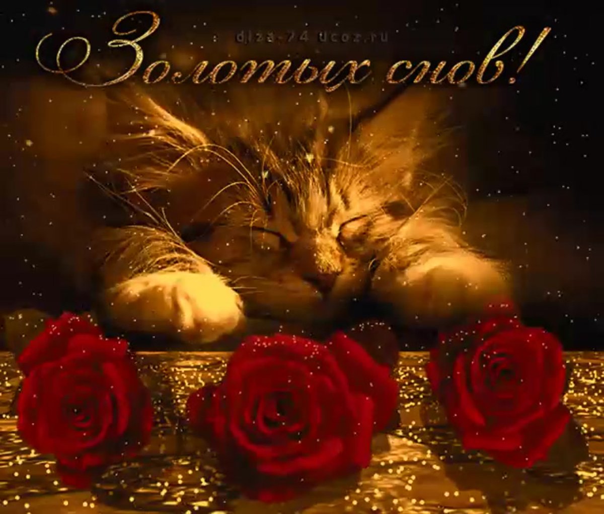 Ютака Кагайя