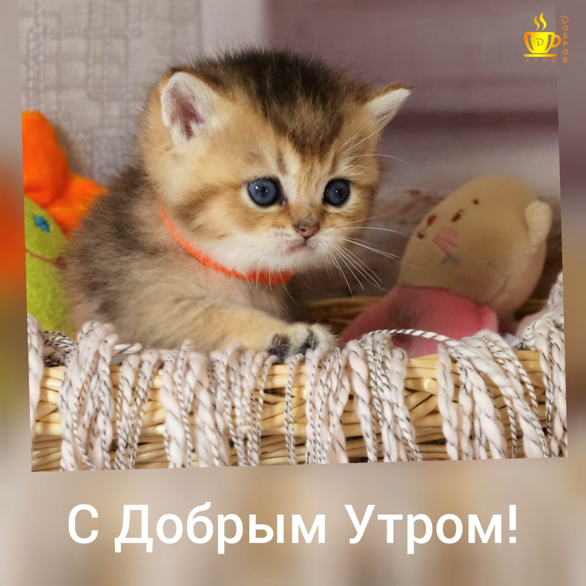 Кофе рисунок