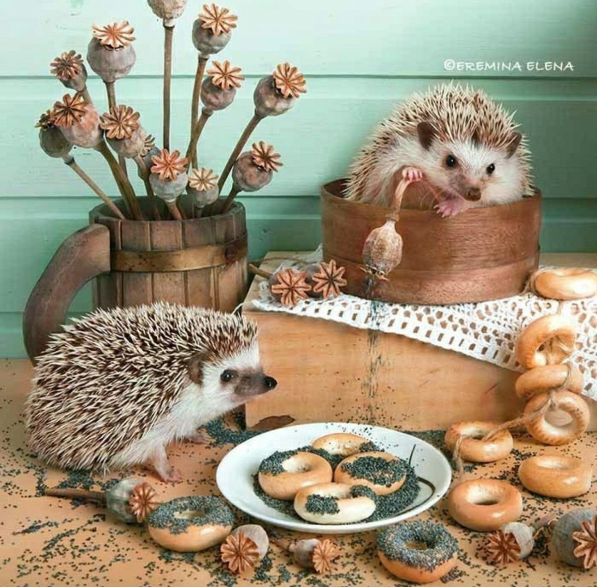 Ёжики Елены Ерёминой 2020