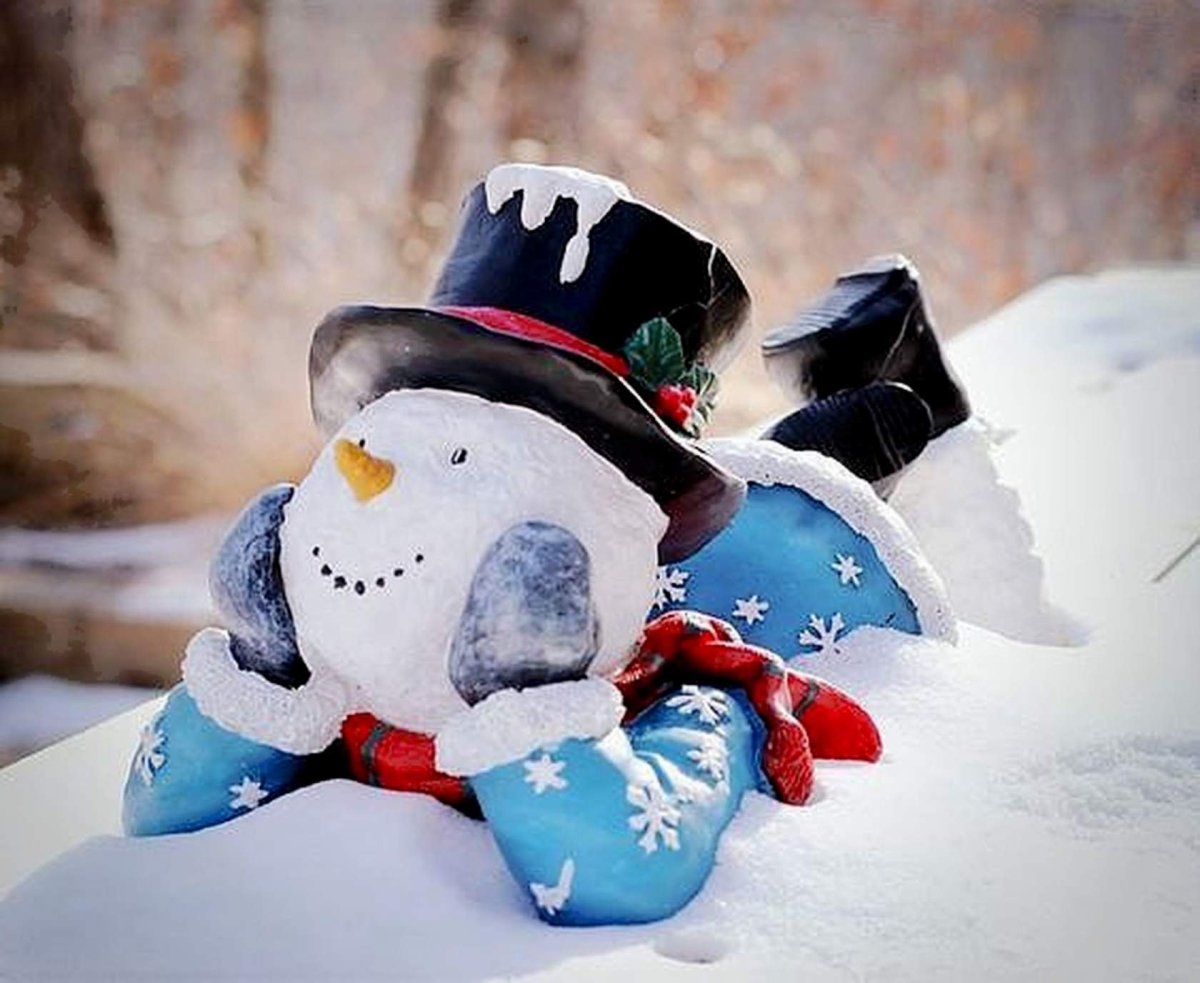 Снеговик с членом