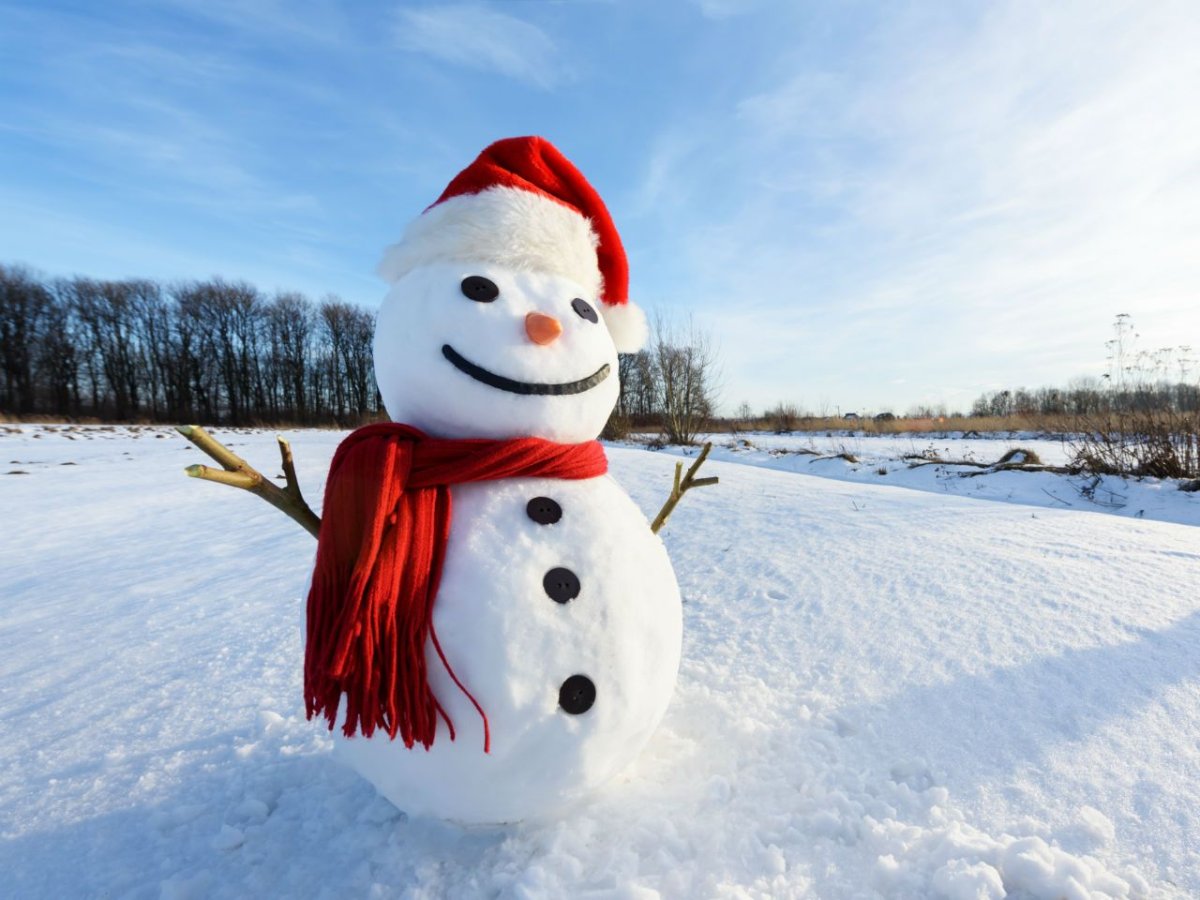 Креативный Снеговик