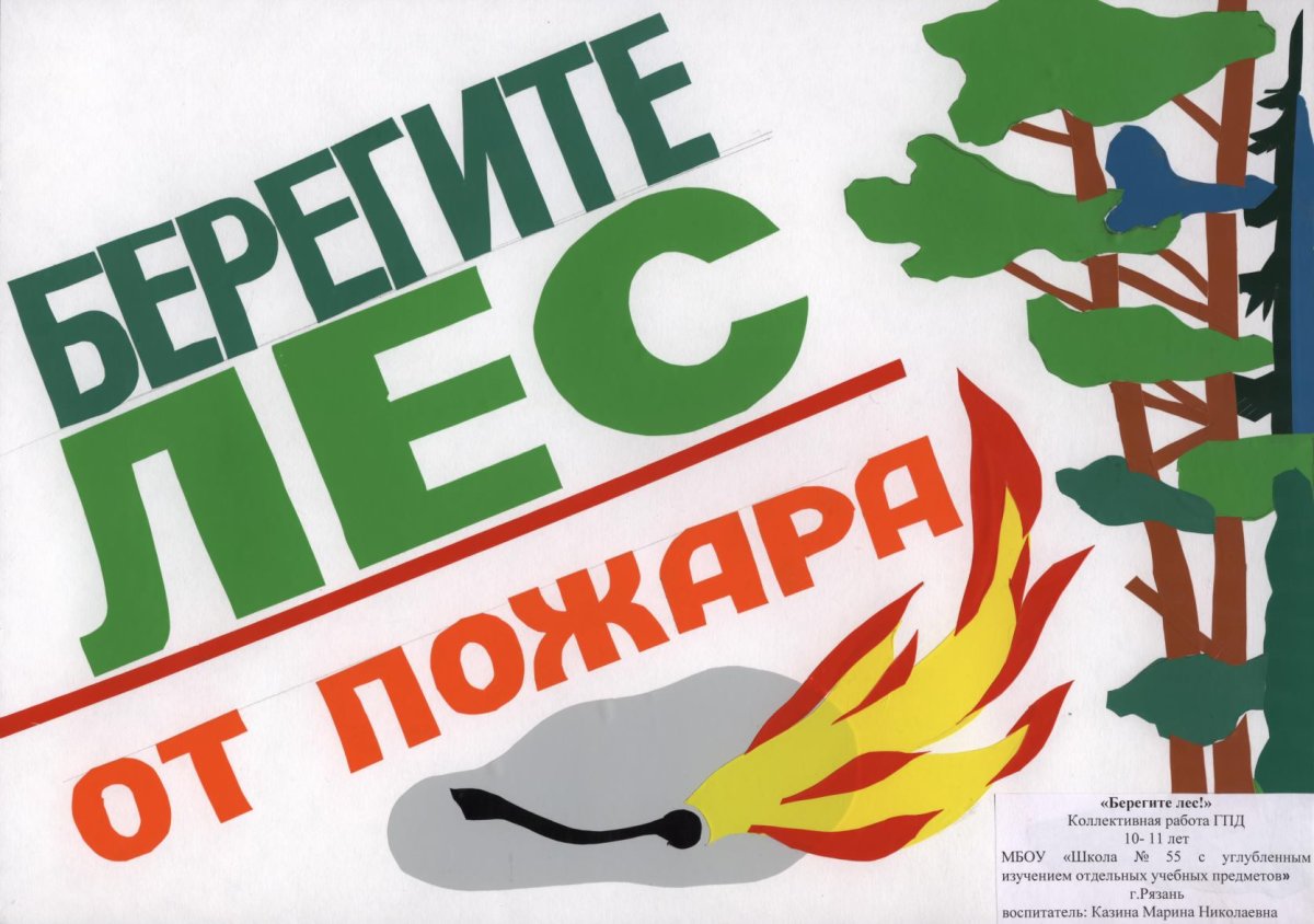 Листовки в защиту леса