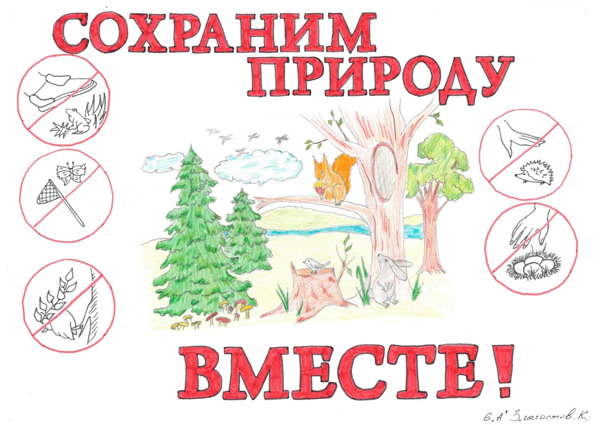 Защита леса и лесовосстановление Результаты конкурса