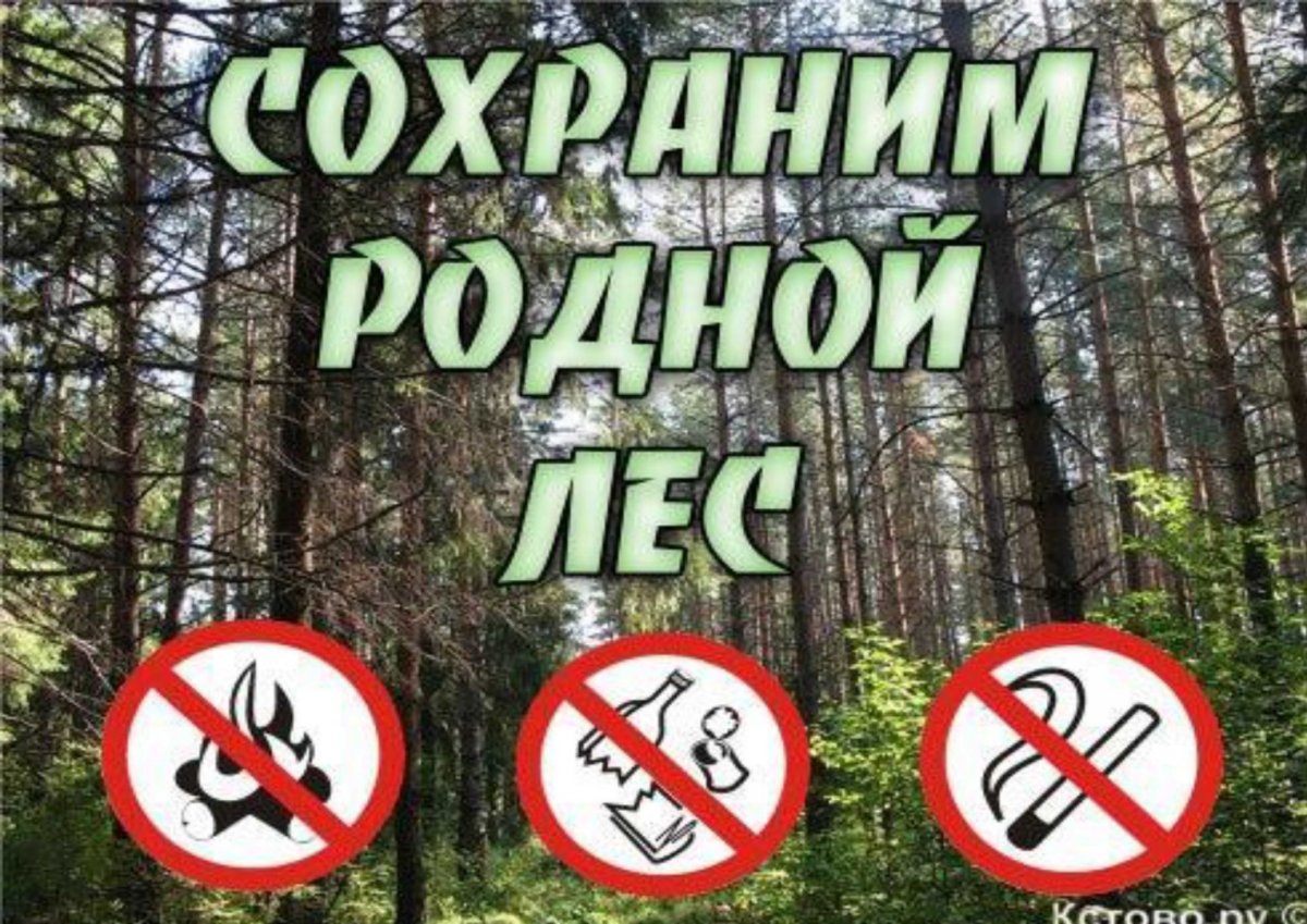 Табличка в лесу