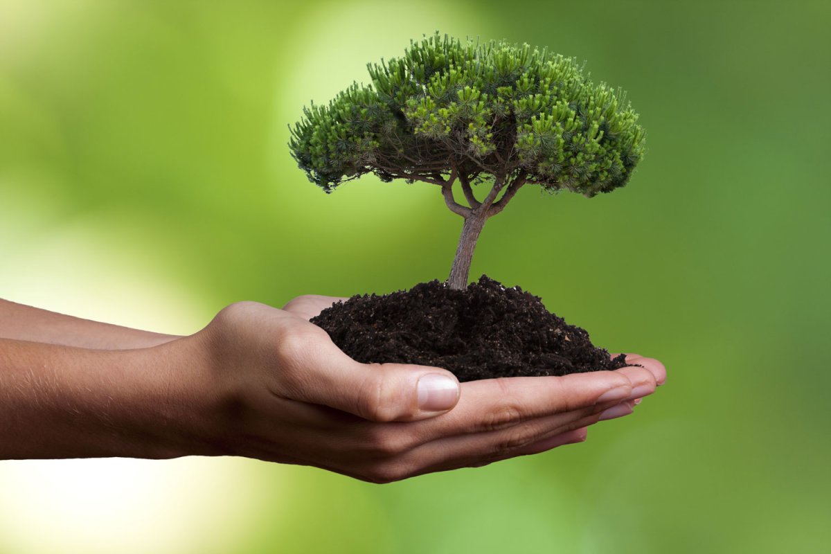 Защита окружающей среды