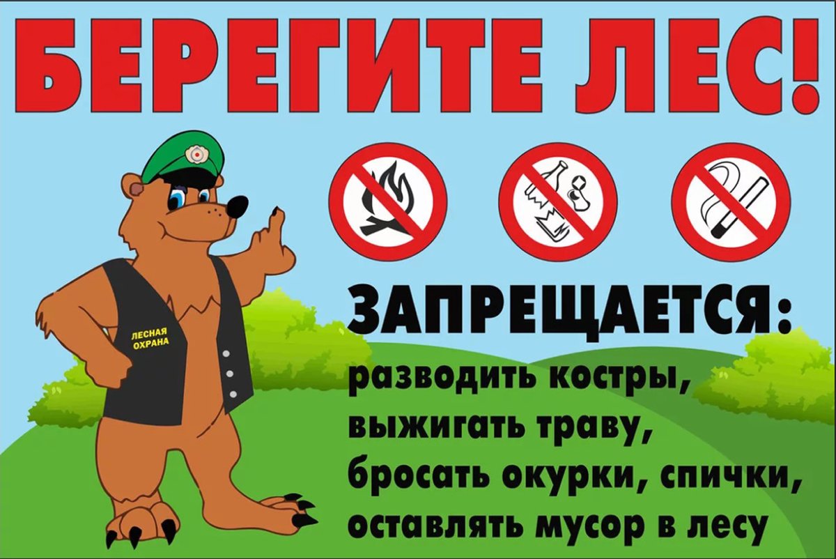Берегите лес