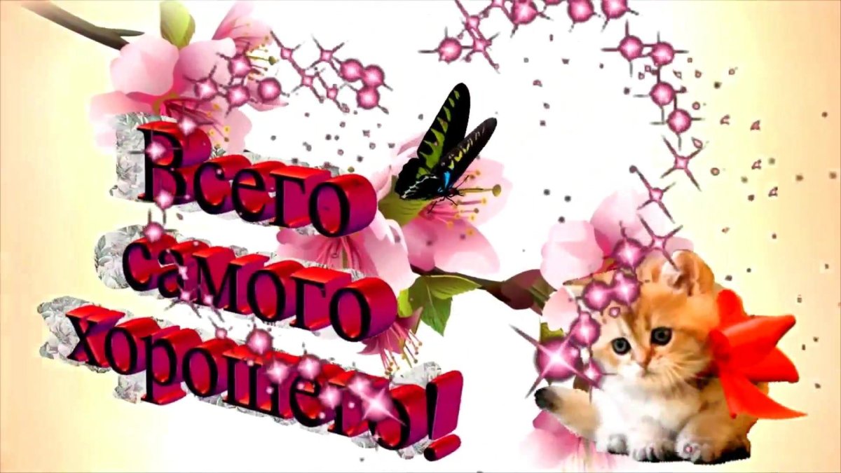 С днём рождения Ангелина открытки