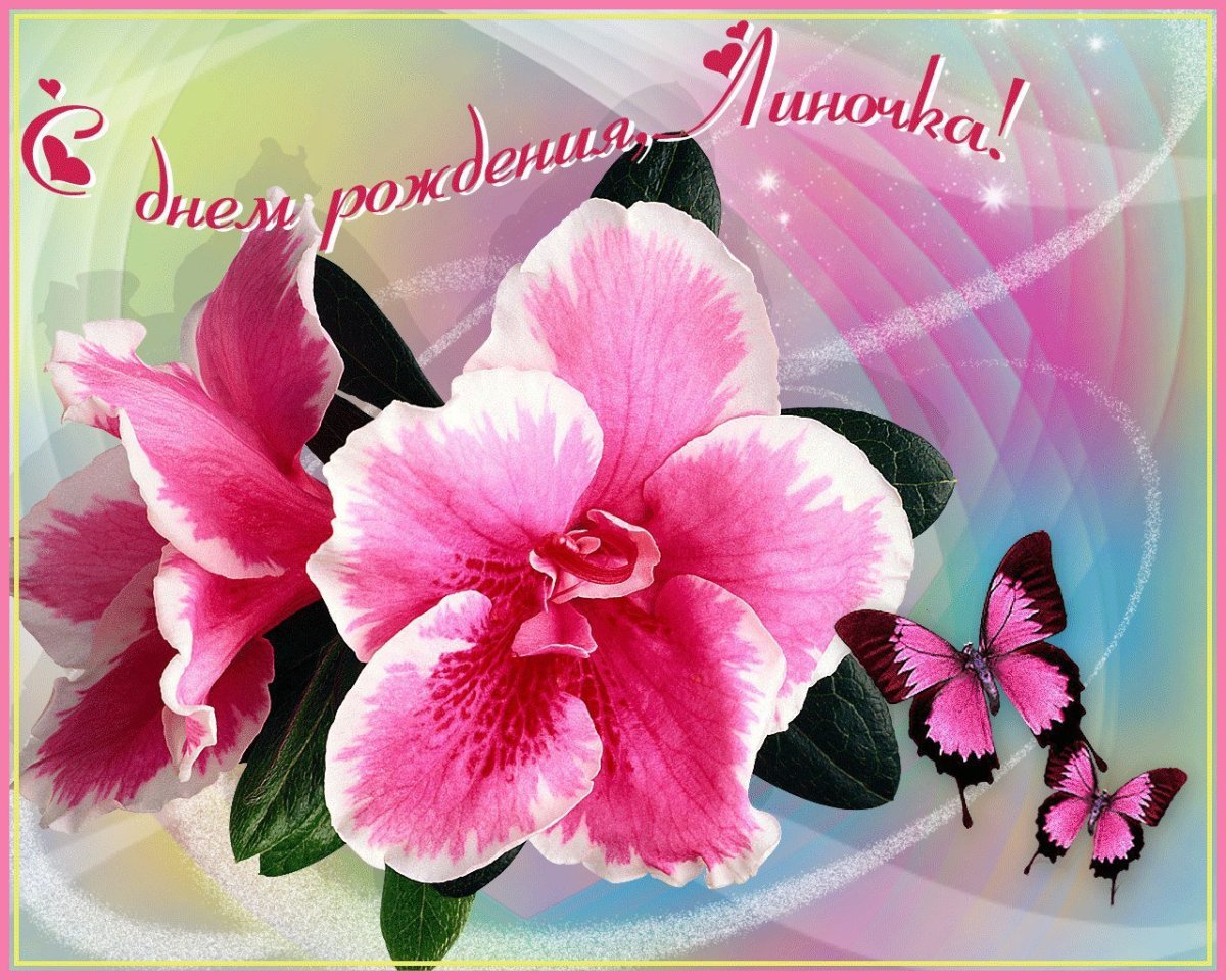 День рожденья или Ангелина