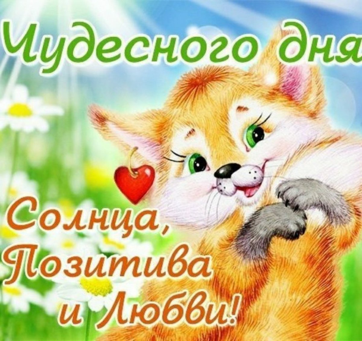 Хорошего дня и отличного настроения любимый