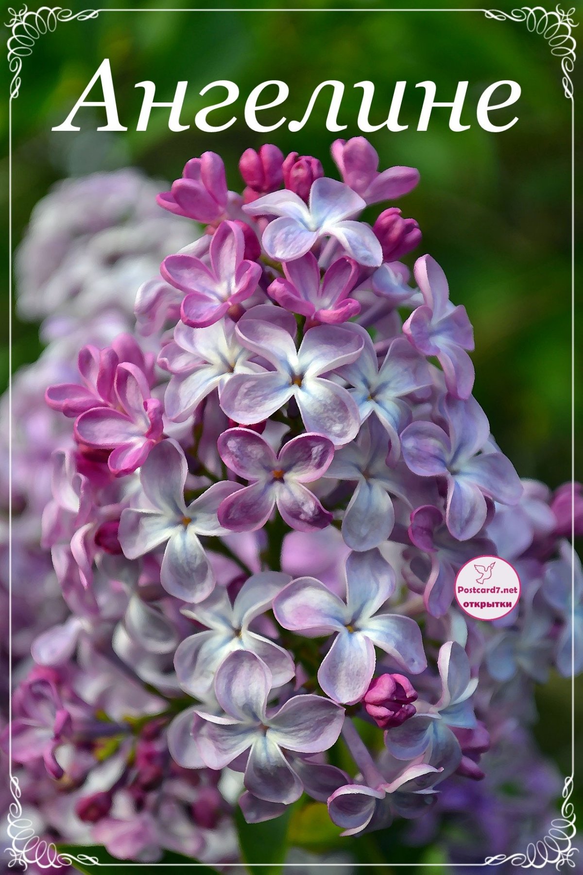 С днём рождения Лина