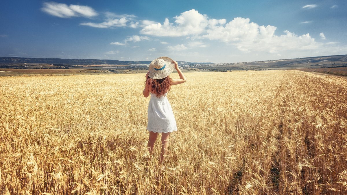 Девушка в пшеничном поле