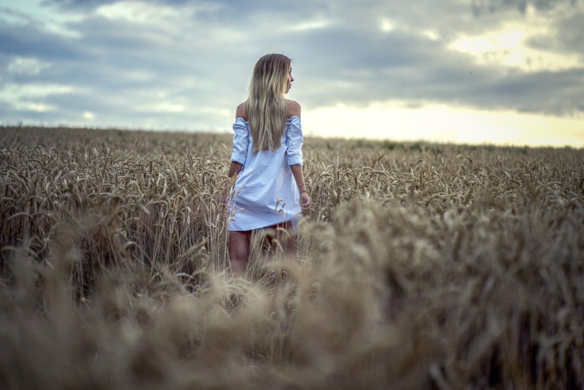 Блондинка в пшеничном поле