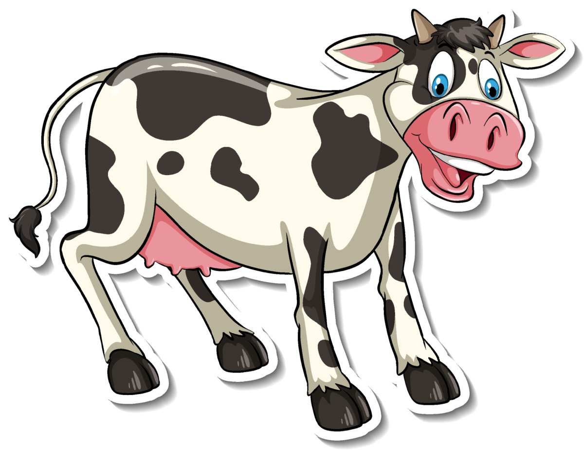 Корова Transformation