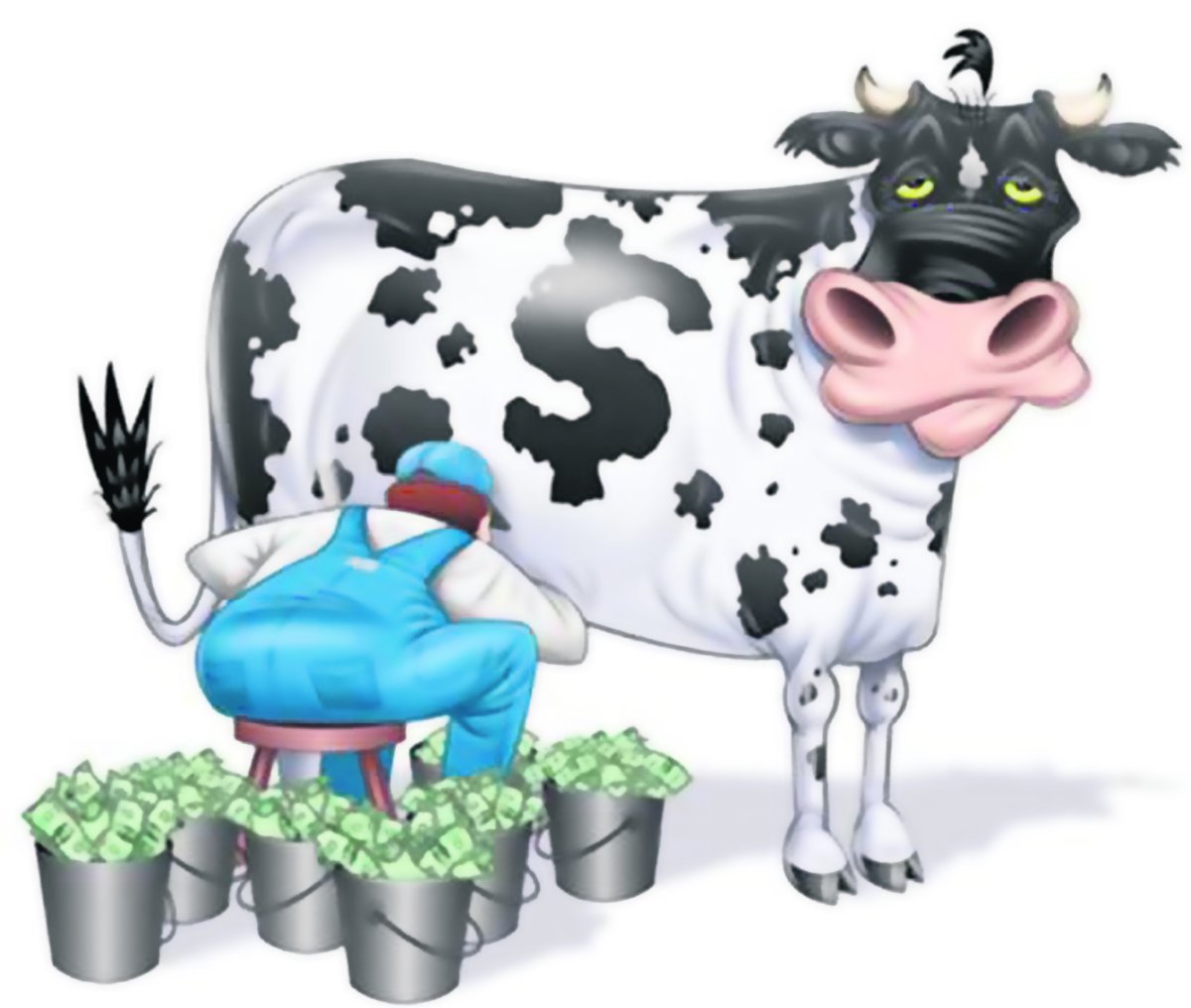 Фернандо корова вектор