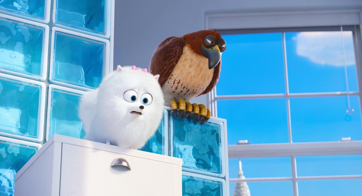 Тайная жизнь домашних животных заяц снежок