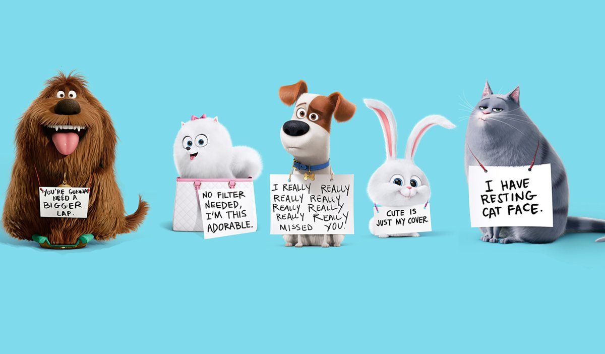 С днем рождения Тайная жизнь домашних животных