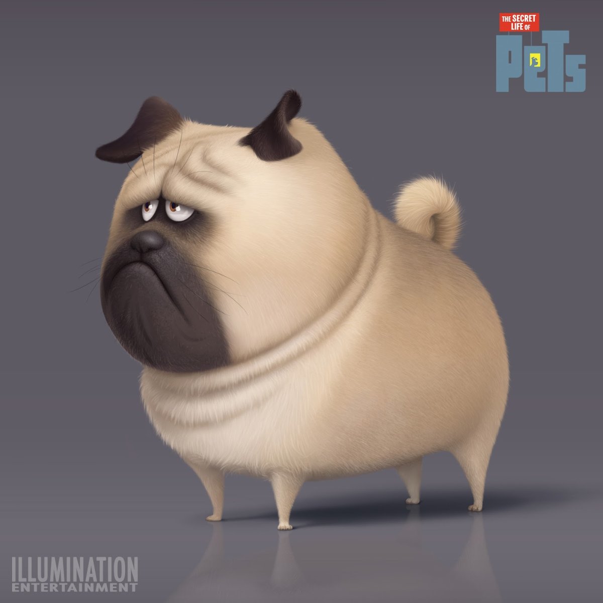 Тайная жизнь домашних животных Макс и Гиджет