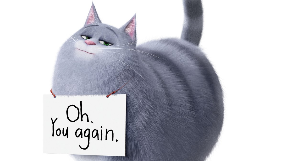 Хлоя из Тайная жизнь домашних животных