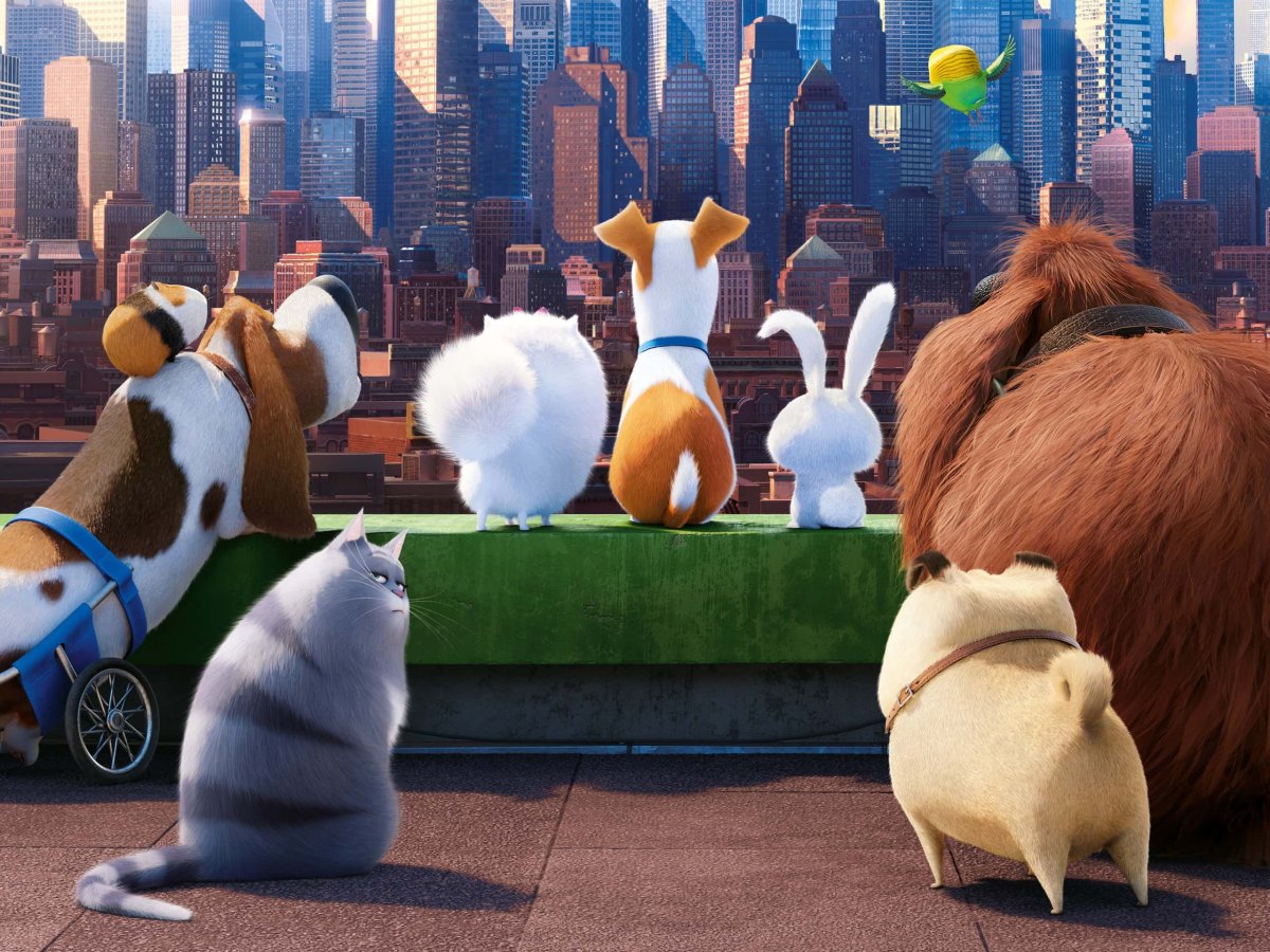 The Secret Life of Pets обложка